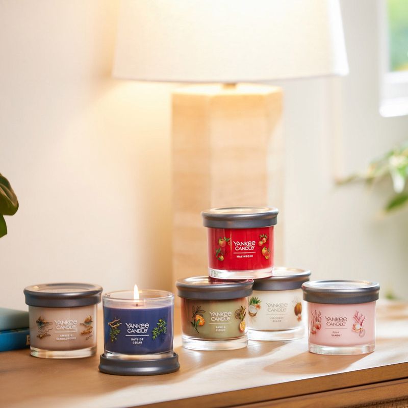 Yankee 6 Pack Candle Set 4.1 oz