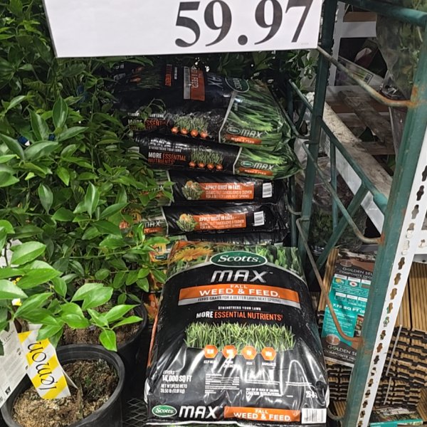 Scotts Max Fall Weed & Feed 14k Sq ft