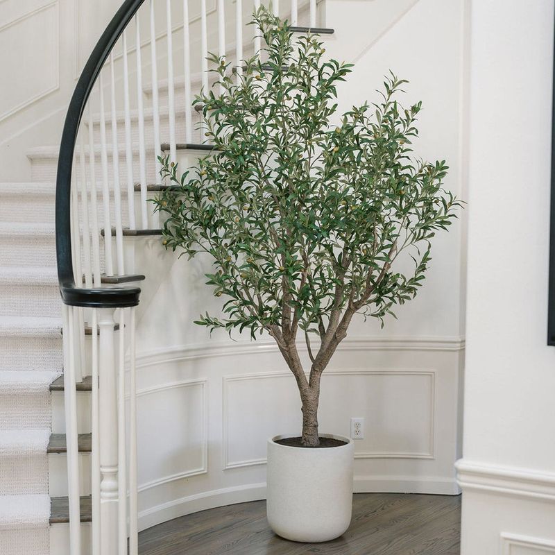 C.g. Hunter Faux 8' Olive Tree