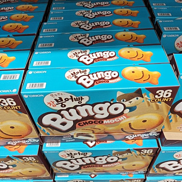 Bungo Choco Mochi 36 Count Box