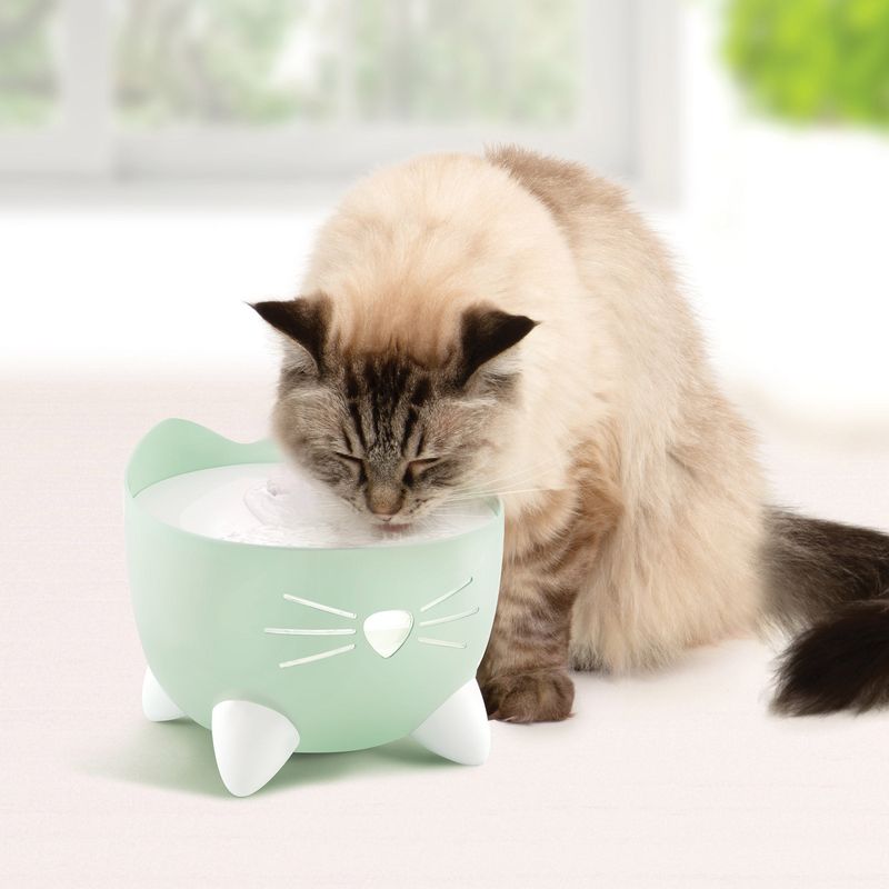Catit Pixi Cat Water Fountain Kit Green