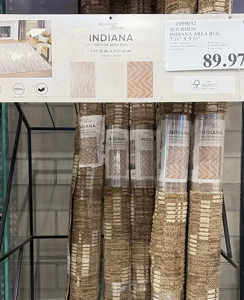 Nourison Indiana Area Rug 7'10¨ X 9'10¨