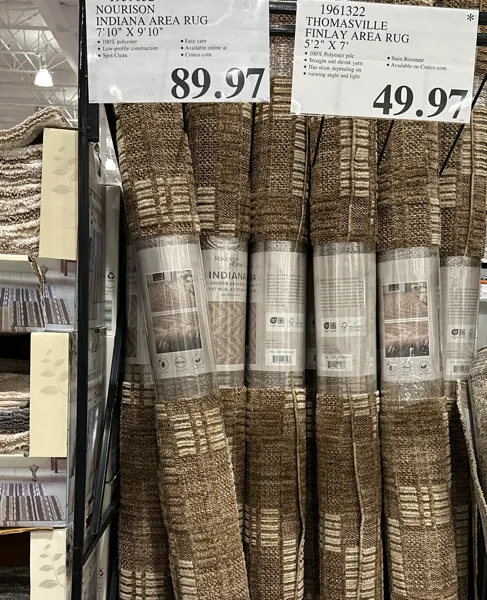 Nourison Indiana Area Rug 7'10¨ X 9'10¨