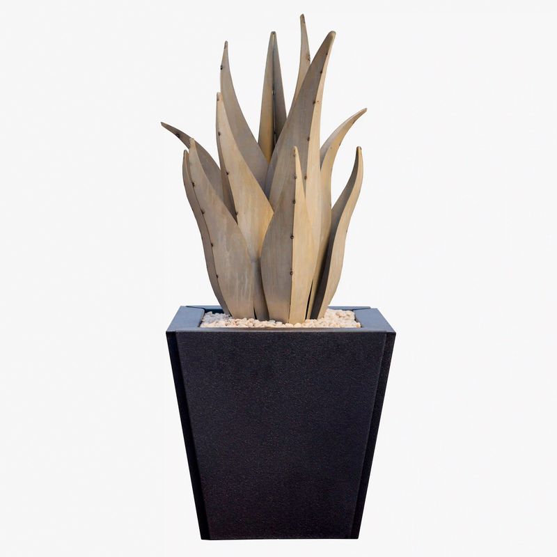 Snake Agave And Planter Set