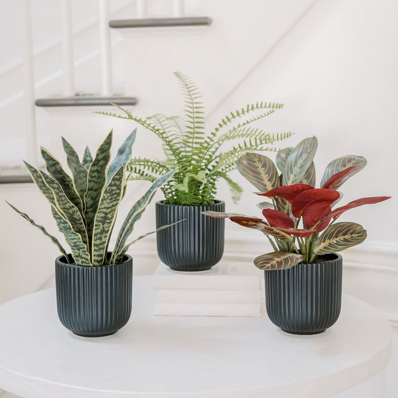 C.g. Hunter Faux Decorative Plant Trio