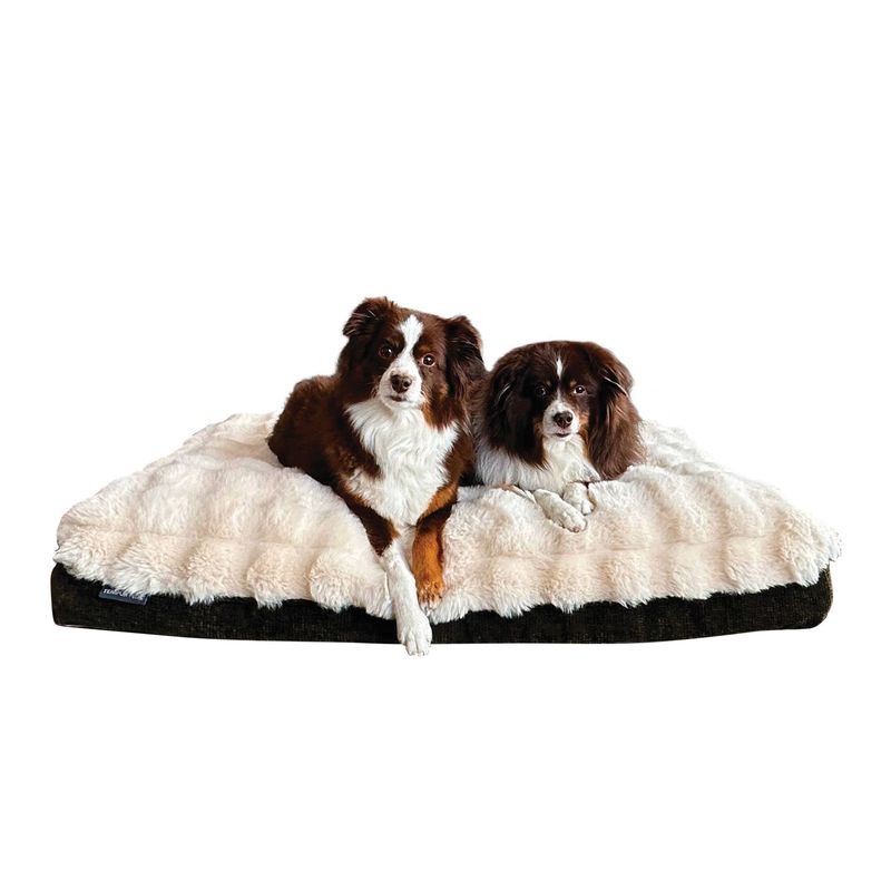 Tempurpedic Pet Bed 30¨ X 40¨