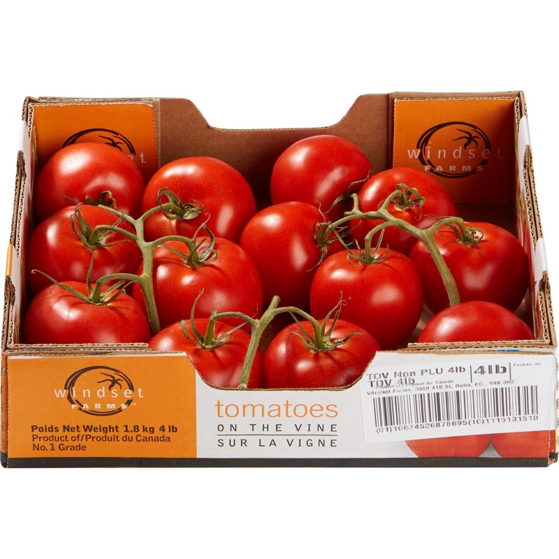 Tomato On The Vine Hothouse Grown 4 lbs