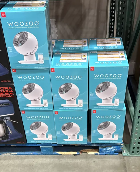 Woozoo 5-Speed Globe Fan