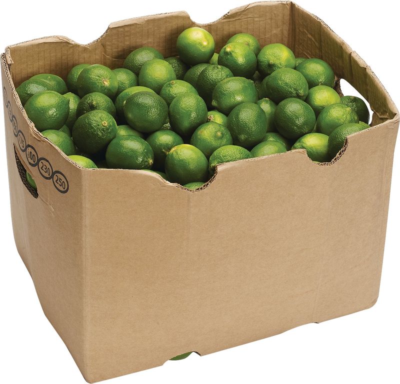 Limes Full Case