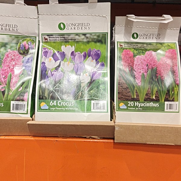 Fall Bulbs Premium Collection