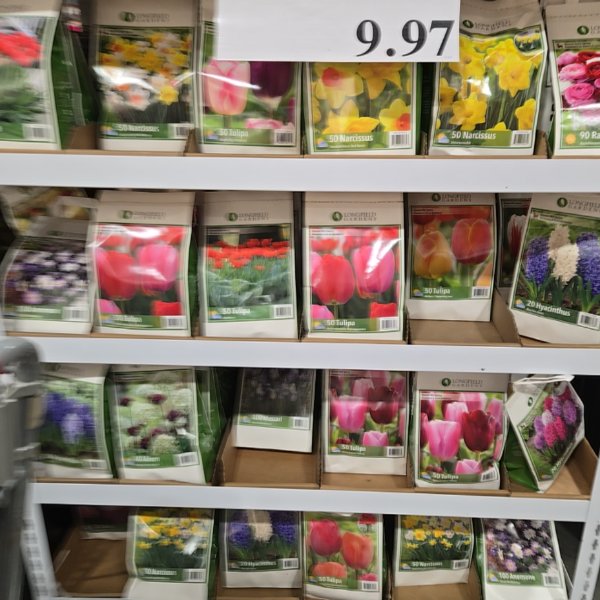 Fall Bulbs Premium Collection