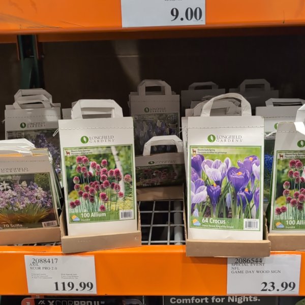 Fall Bulbs Premium Collection